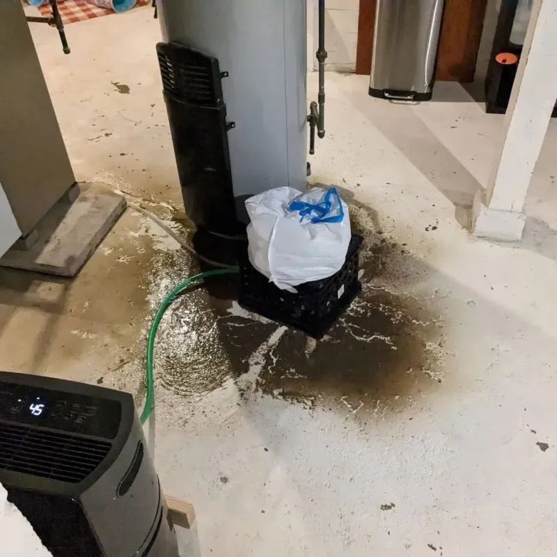 Sewage Backup Cleanup Service in Bernardston, MA